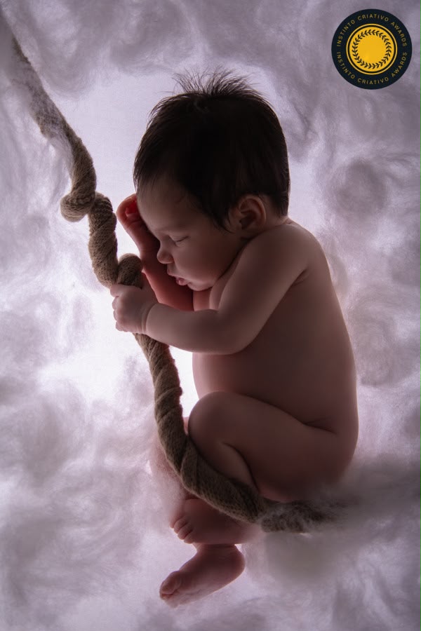 Maiores Médias - Categoria Newborn - 5° round 2026