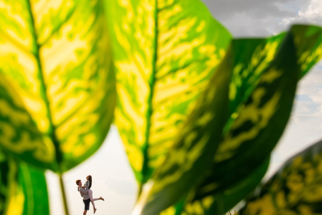 Curso Instinto Criativo de Fotografia